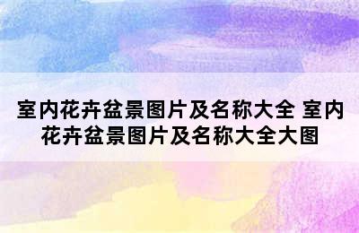 室内花卉盆景图片及名称大全 室内花卉盆景图片及名称大全大图